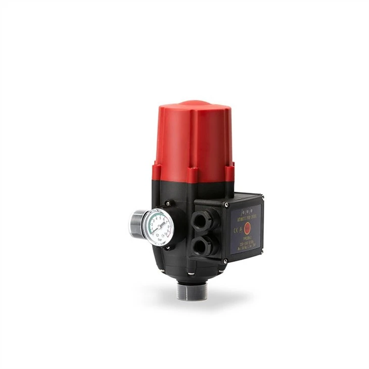 Pump Automatic Restart Switch